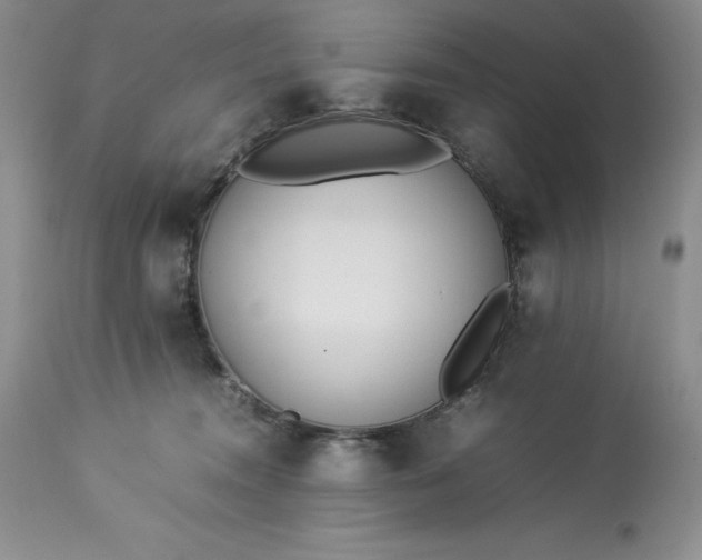 X0000113350372200909291101