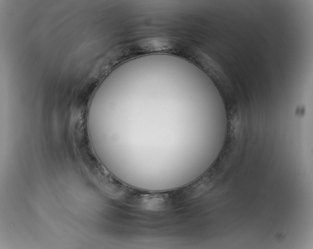 X0000113350373200909291101