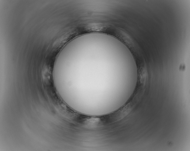 X0000113350374200909291101