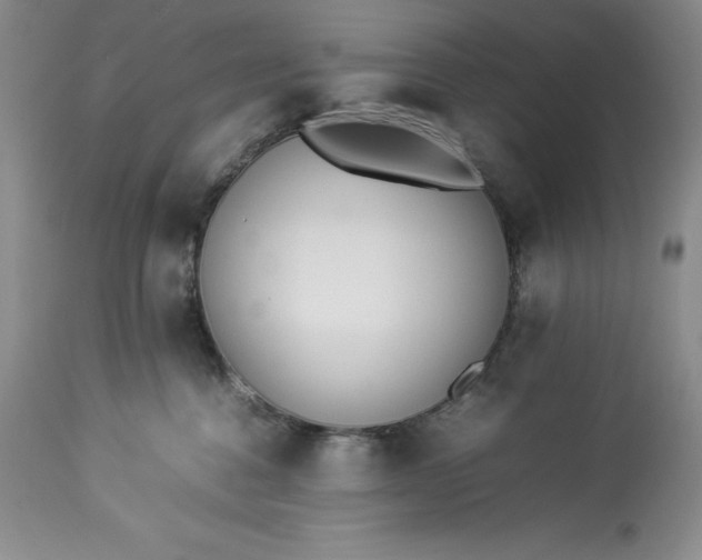 X0000113350376200909291101