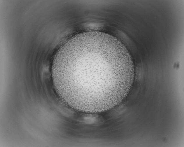 X0000113350377200909291101