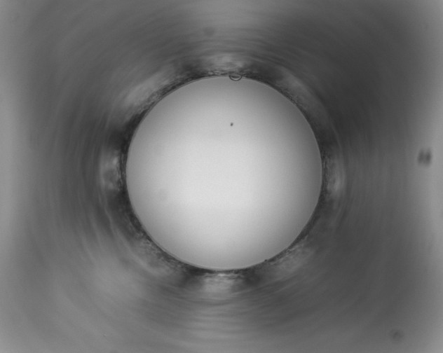 X0000113350378200909291101