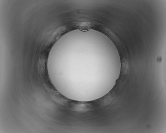 X0000113350379200909291101