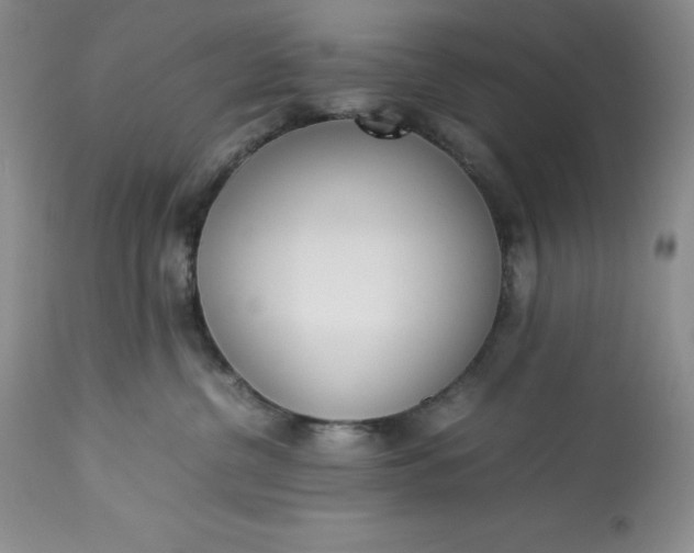 X0000113350380200909291101