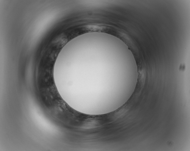 X0000113350381200909291101