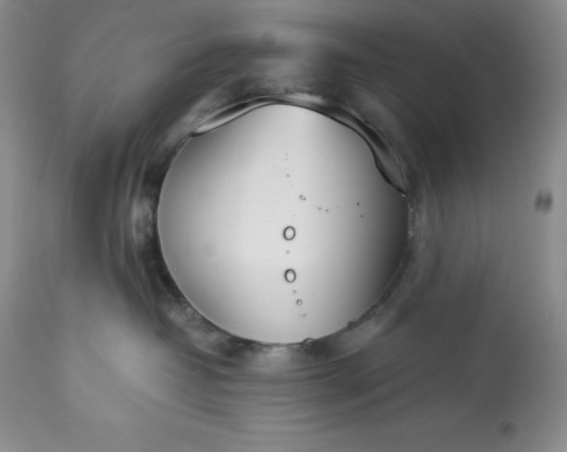 X0000113350382200909291101