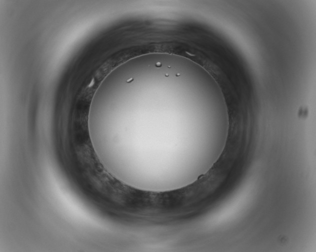 X0000113350383200909291101