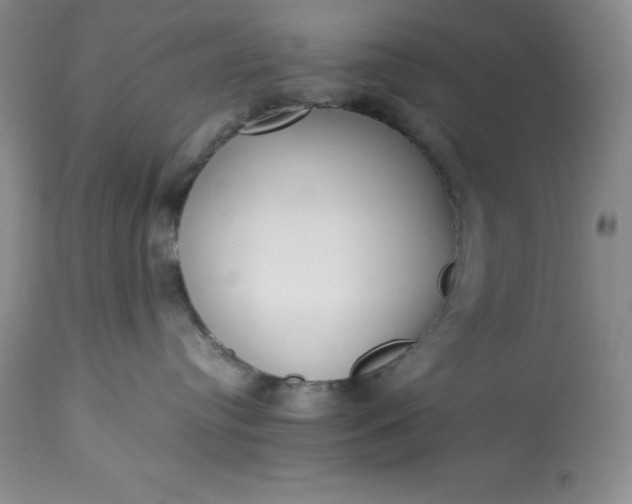 X0000113350384200909291101