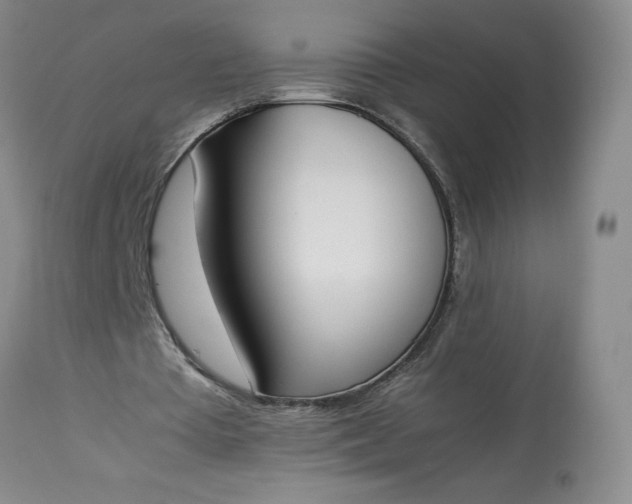 X0000113350385200909291100