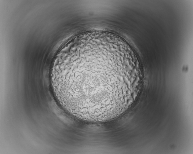 X0000113350386200909291100