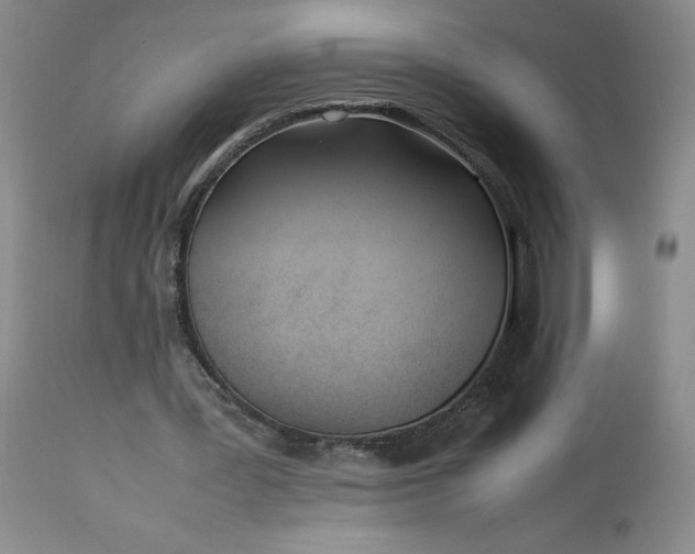 X0000113350387200909291100