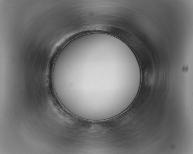 X0000113350388200909291100