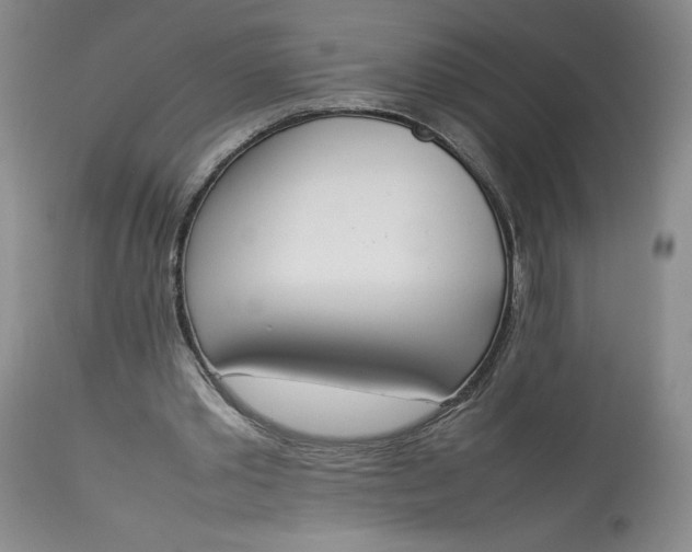 X0000113350389200909291100