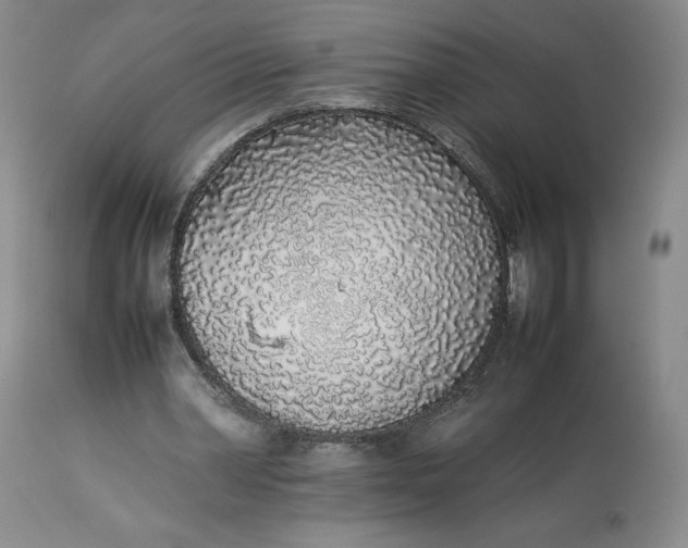 X0000113350390200909291100