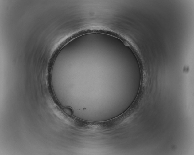 X0000113350391200909291100