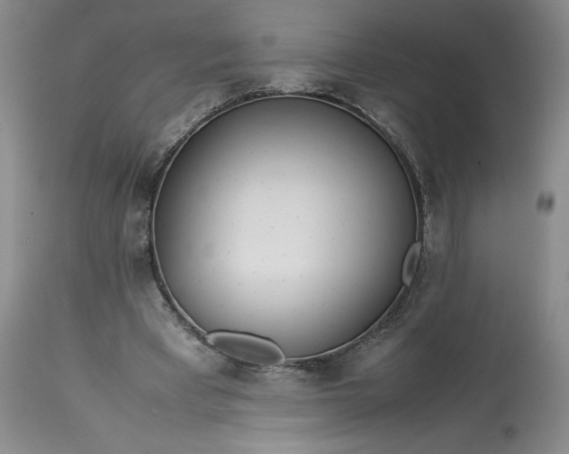 X0000113350393200909291100