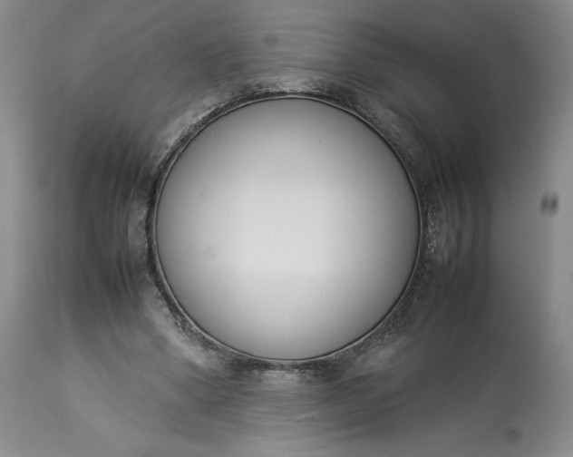 X0000113350394200909291100