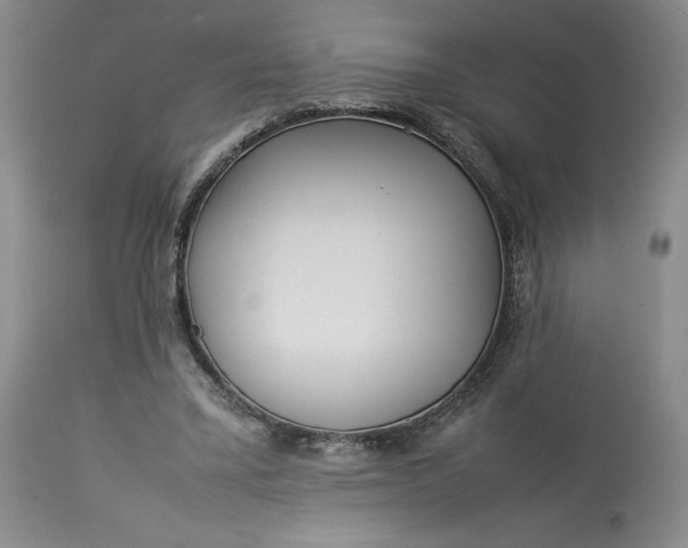 X0000113350395200909291100