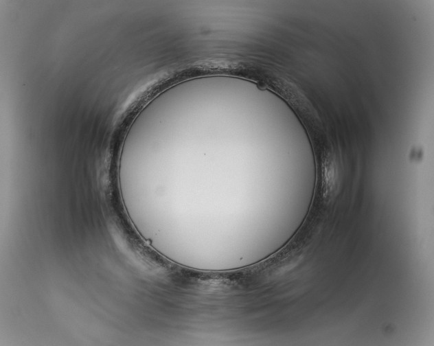 X0000113350396200909291100