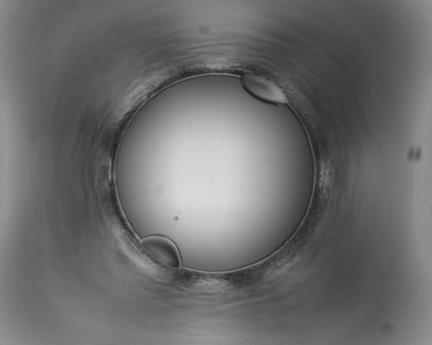 X0000113350397200909291100