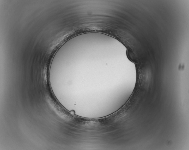 X0000113350398200909291100