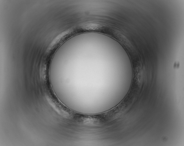 X0000113350400200909291100