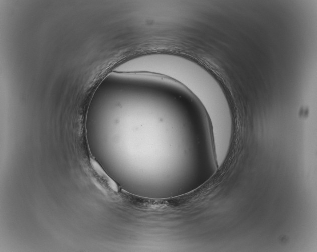 X0000113350401200909291100