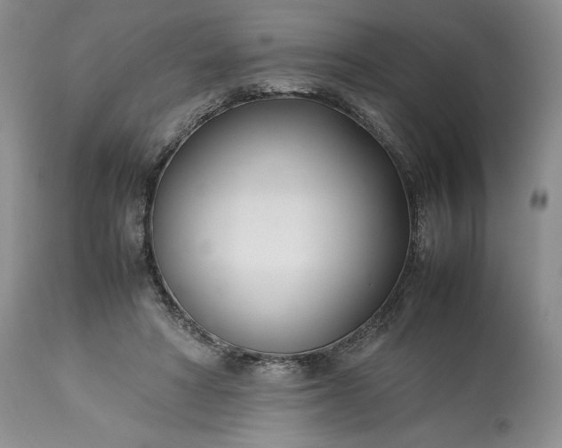 X0000113350402200909291100