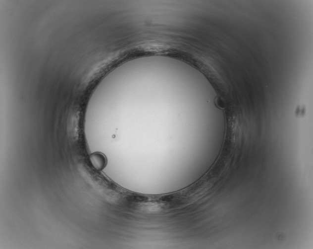 X0000113350404200909291100