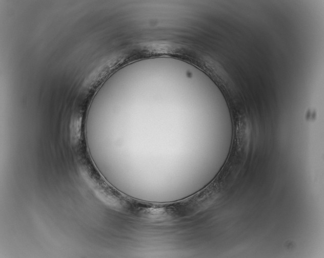 X0000113350406200909291100