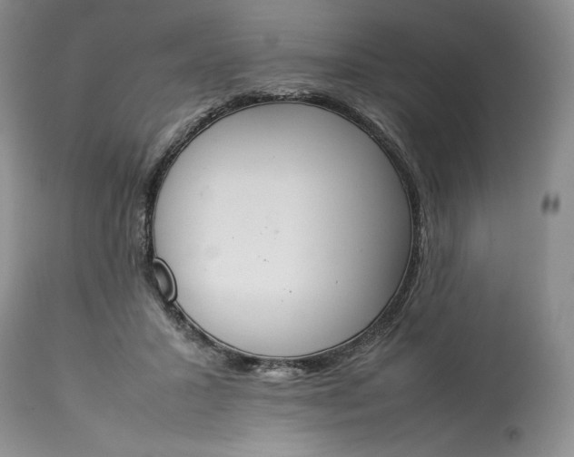 X0000113350407200909291100