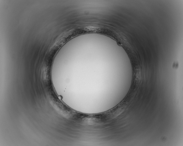 X0000113350408200909291100