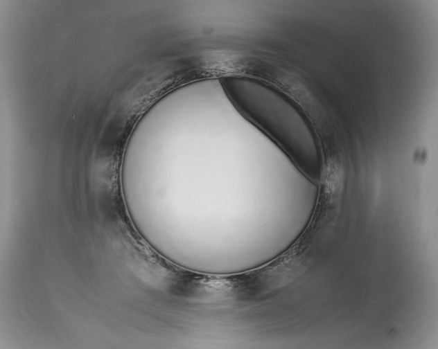 X0000113350409200909291100