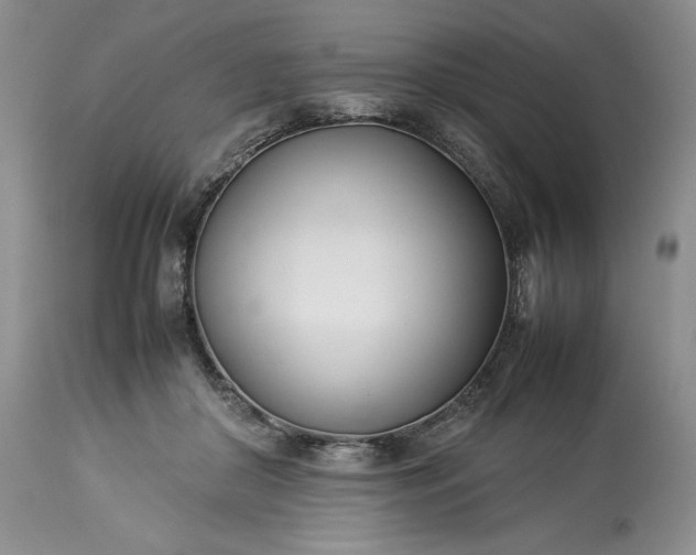 X0000113350410200909291100