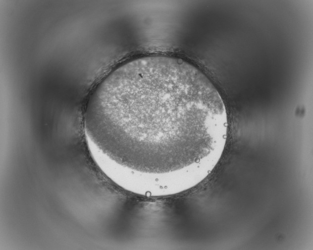 X0000113350411200909291100