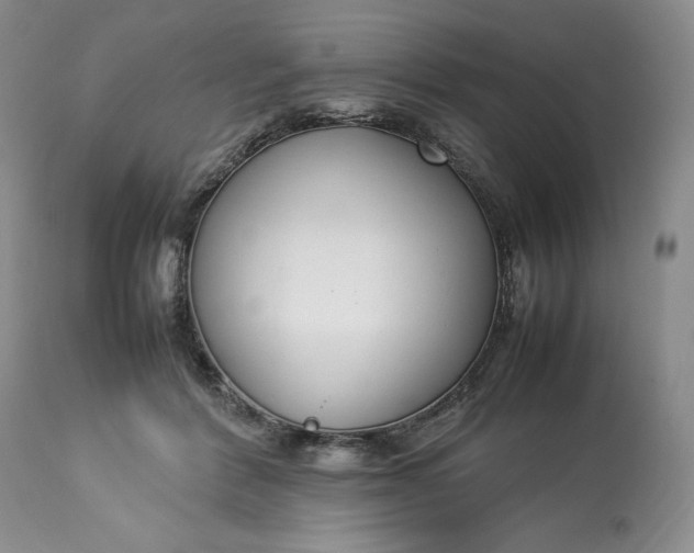 X0000113350412200909291100