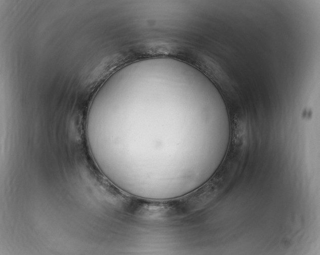 X0000113350414200909291100