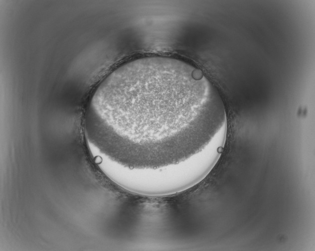 X0000113350415200909291100