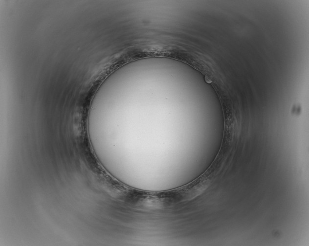 X0000113350416200909291100