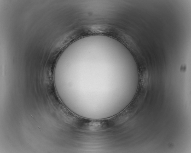 X0000113350418200909291100