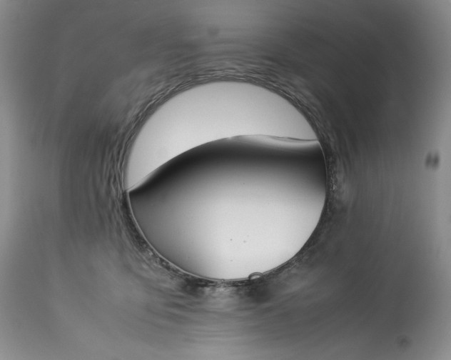 X0000113350419200909291100