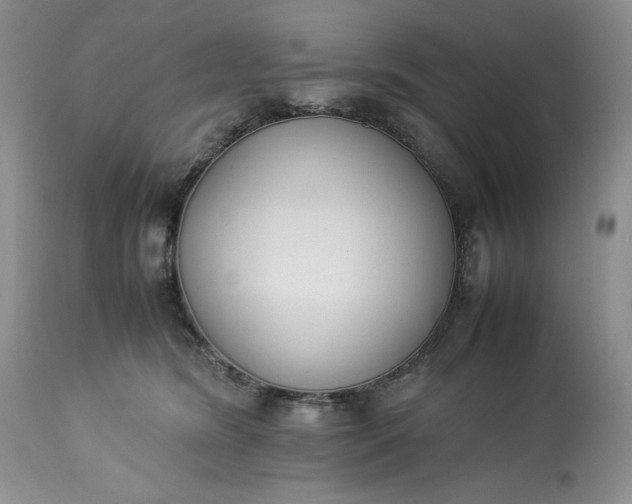 X0000113350420200909291100