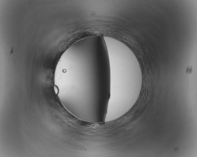 X0000113350421200909291100