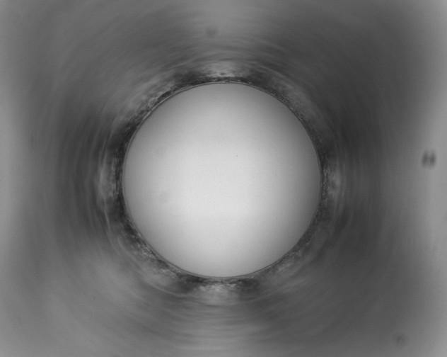 X0000113350422200909291100