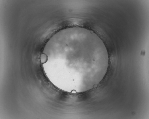 X0000113350423200909291100