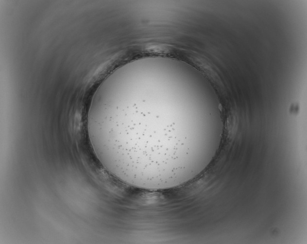 X0000113350424200909291100