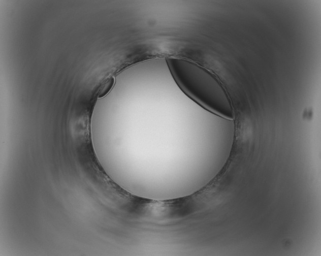 X0000113350425200909291100