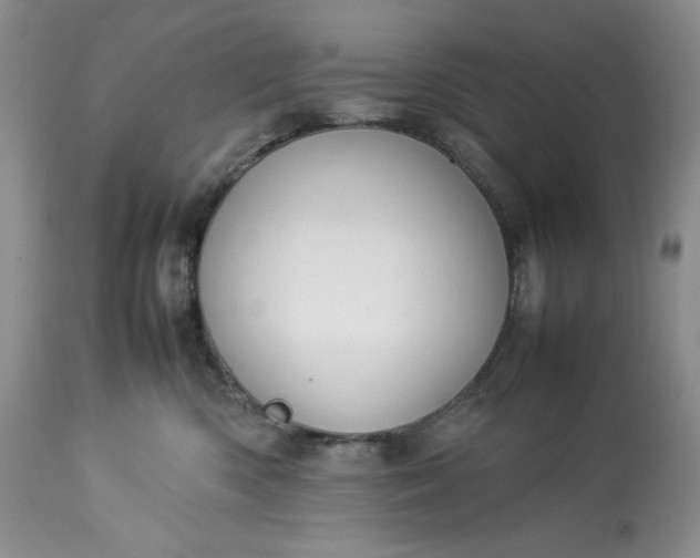 X0000113350426200909291100