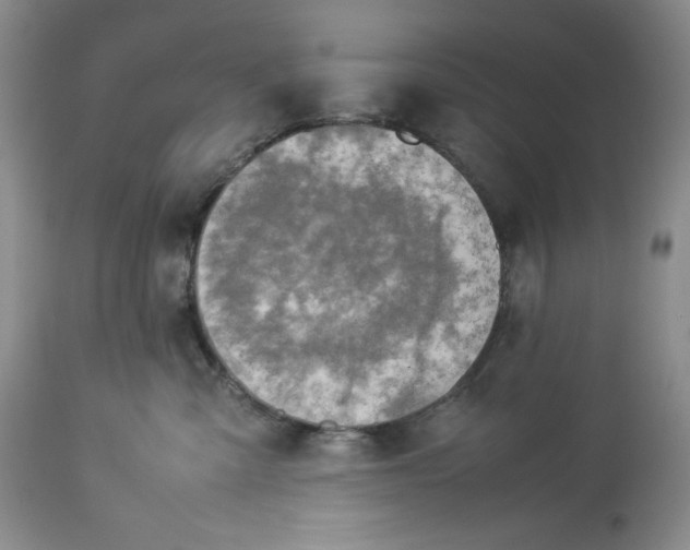 X0000113350427200909291100