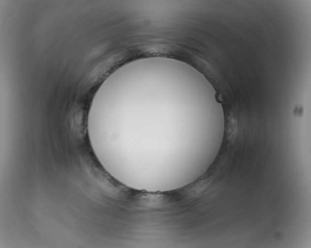 X0000113350428200909291100